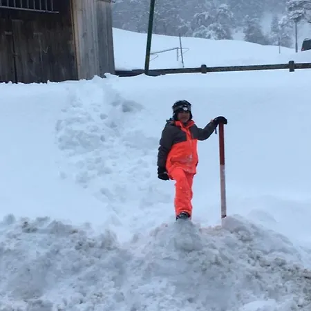 아파트 Renate 아르놀드슈타인