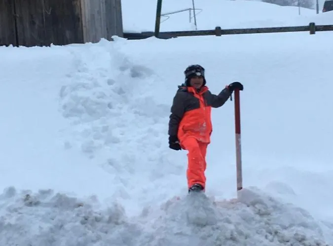 Apartment Renate Arnoldstein